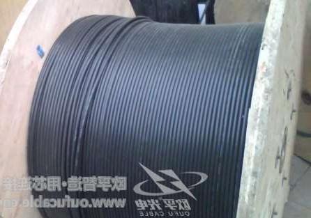 齐齐哈尔市12芯GYXTW中心束管式光缆制作 欧孚GYXTW光缆特点